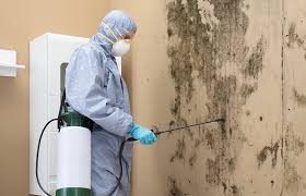 Best Biohazard Mold Removal  in Lake Crystal, MN